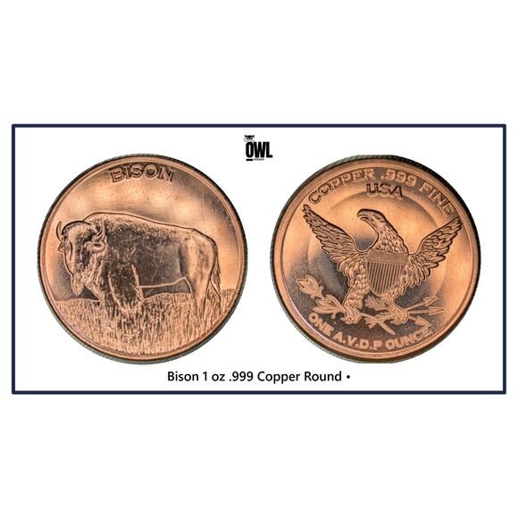 Other - Bison 1 oz .999 Copper Round • Wildlife Collectible • UMM Finds